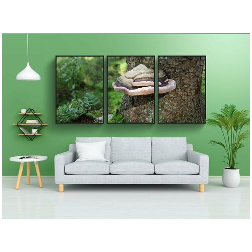 фото Набор модулных постеров для интерьера "гриб, древесный гриб, дерево" 60x90 см. в тубусе, без рамки lotsprints
