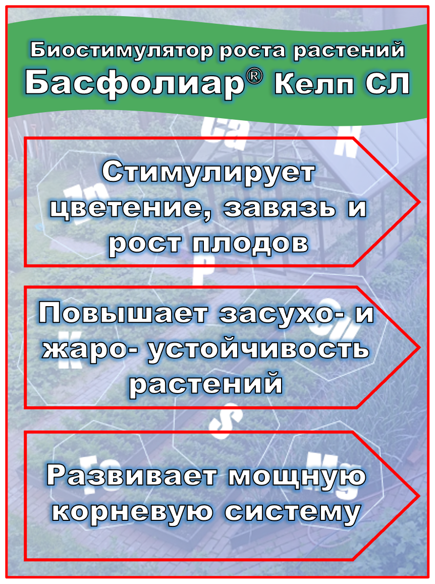 Удобрение COMPO Басфолиар Келп СЛ 20мл биостимулятор роста растений. - фотография № 5