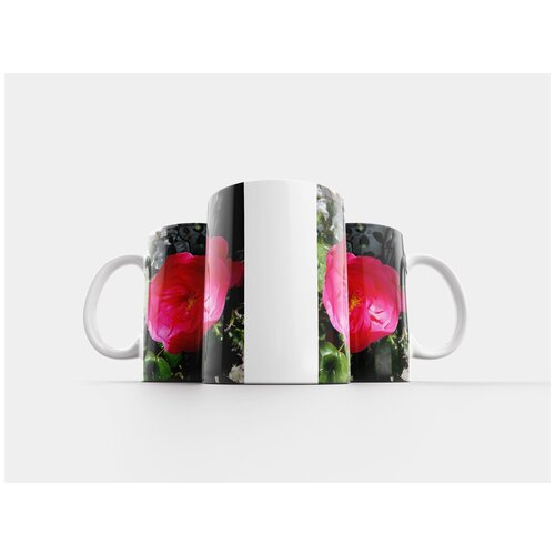 фото Кружка "красная роза, цветущая роза, цветок" 320 мл lotsprints