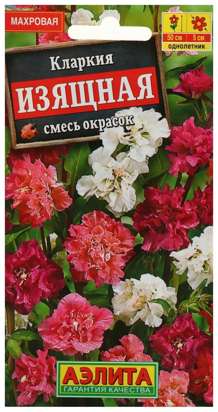 Семена цветов Кларкия изящная смесь окрасок О 03 г