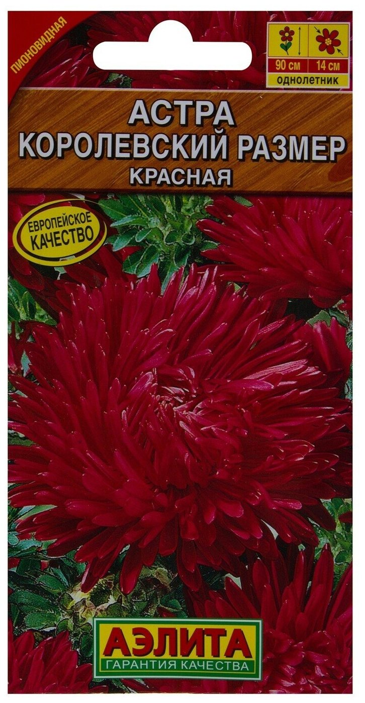 Астра Королевский размер Красная пионовидная 0.1г Одн 90см (Аэлита)