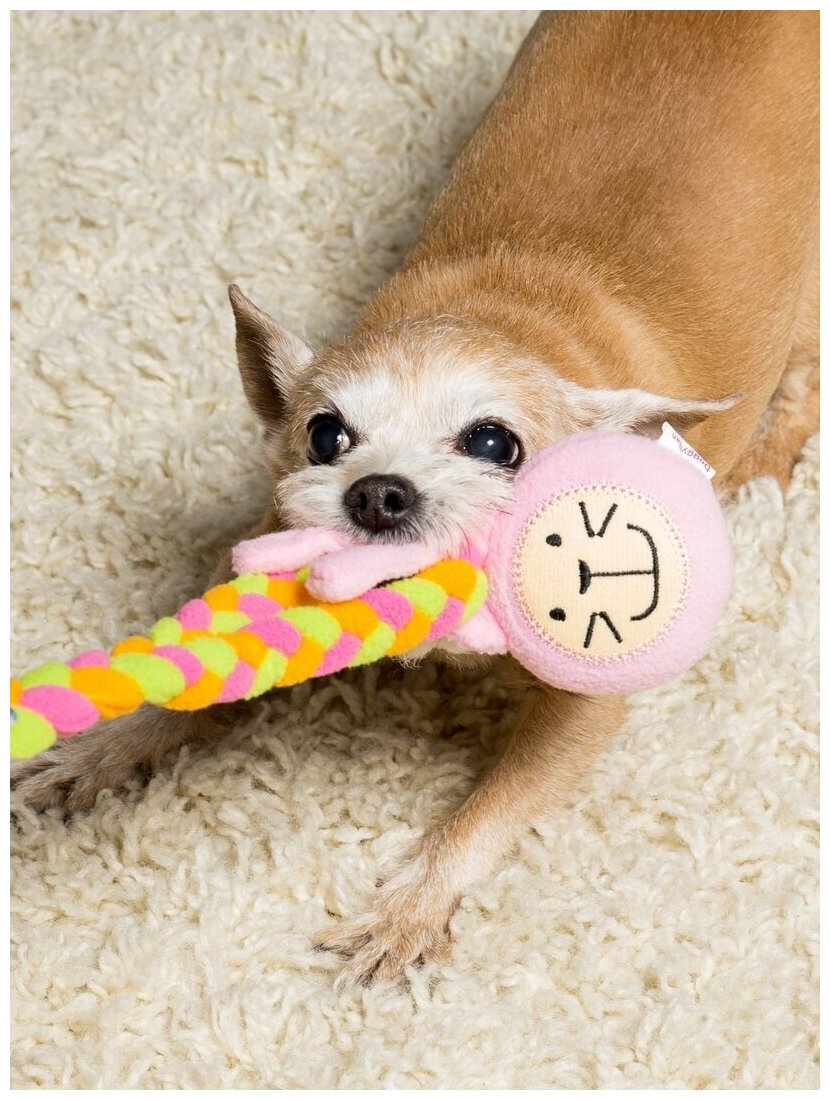 Игрушка для собак Japan Premium Pet подвешивающийся кролик. - фотография № 1