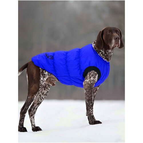 фото Жилет утепленный для собак крупных пород унисекс арт.0101s р.2xl, цв.синий jackydog