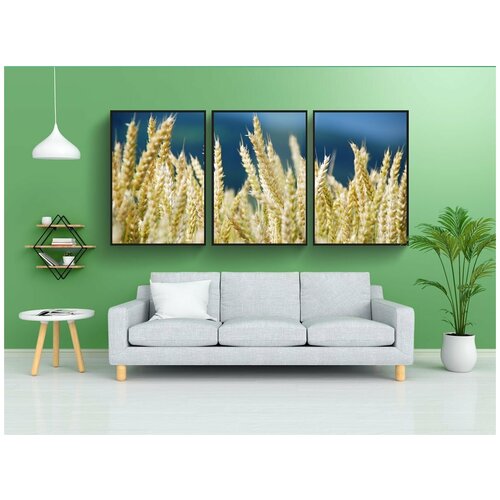 фото Набор модулных постеров для интерьера "пшеница, пшеничное поле, зерно" 60x90 см. в тубусе, без рамки lotsprints