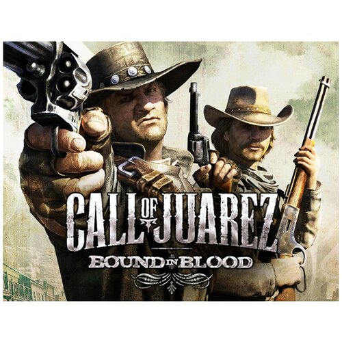 Call of Juarez: Bound in Blood