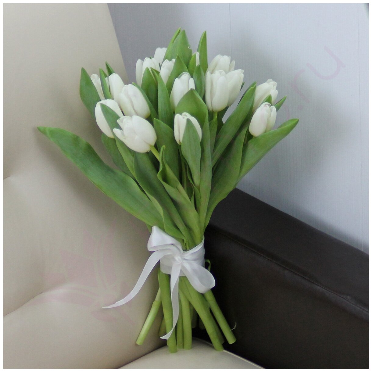 Цветы живые букет из 15 белых тюльпанов с атласной лентой