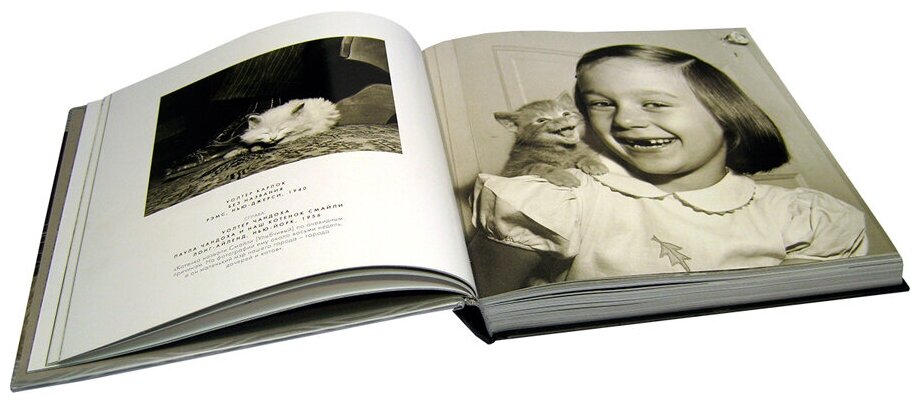 Большая книга кошек (Суаре Жан Клод) - фото №3