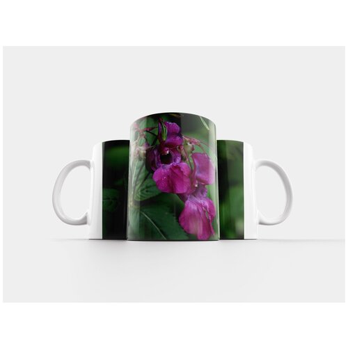 фото Кружка "природа, цветок, растение" 320 мл lotsprints