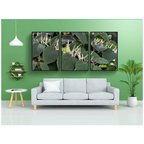 фото Набор модулных постеров для интерьера "спорыш, кустарник, спорыша" 60x90 см. в тубусе, без рамки lotsprints