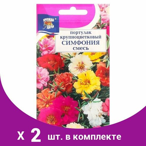 Семена цветов Портулак крупноцветковая 'Симфония', Смесь окрасок, 0,1 г (2 шт) семена портулак смесь люкс 0 2г