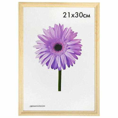 Фоторамка cristina 210х300мм некрашеная дерево 599₽