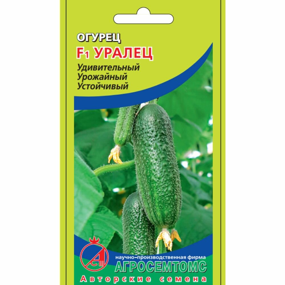 Огурец уралец F1  8 шт  Агросемтомс