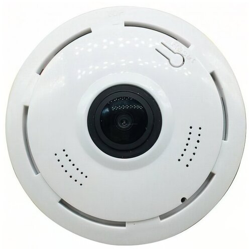 Панорамная беспроводная Wi-Fi IP камера c записью на карту памяти MiCam Smart F24W 350000₽