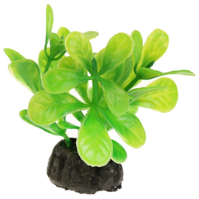 Растение искусственное аквариумное малое 6 см - фотография № 3