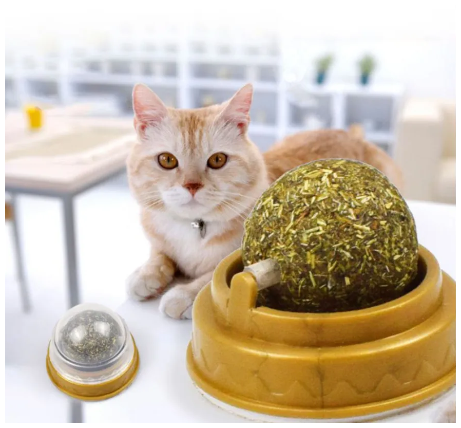 Лакомства для кошек, кошачья мята, конфета для кошки, леденец для кота, игрушки для кошек. Набор для кошек — фото 1
