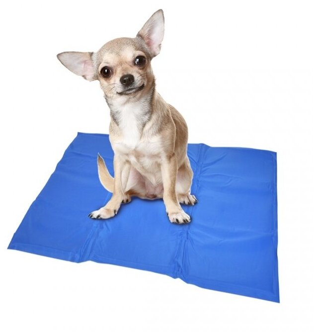 Охлаждающий коврик для собак DUVO+ M, голубой, 50х65см (Бельгия) - фотография № 2