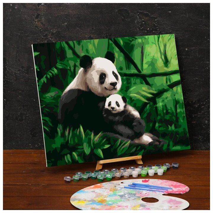Картина по номерам на холсте с подрамником «Панды. Мама и малыш» 40х50 см