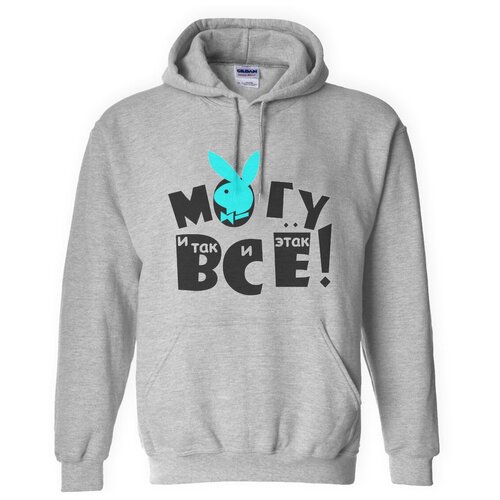 фото Толстовка худи серые coolpodarok могу все и так и этак