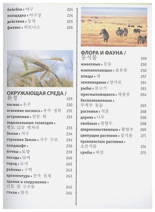 Корейско-русский визуальный словарь с транскрипцией - фото №7