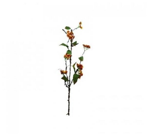 LUCKY REPTILE Растение для террариумов декоративное "Twig with Berries", 40 см (Германия) - фото №1