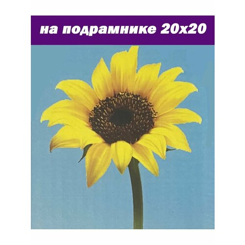 Стиль для Дома Алмазная мозаика на подрамнике 20х20 частичная выкладка