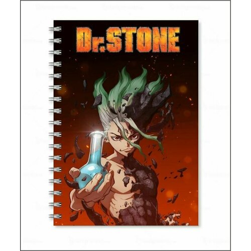 Тетрадь доктор стоун, DR. STONE №1