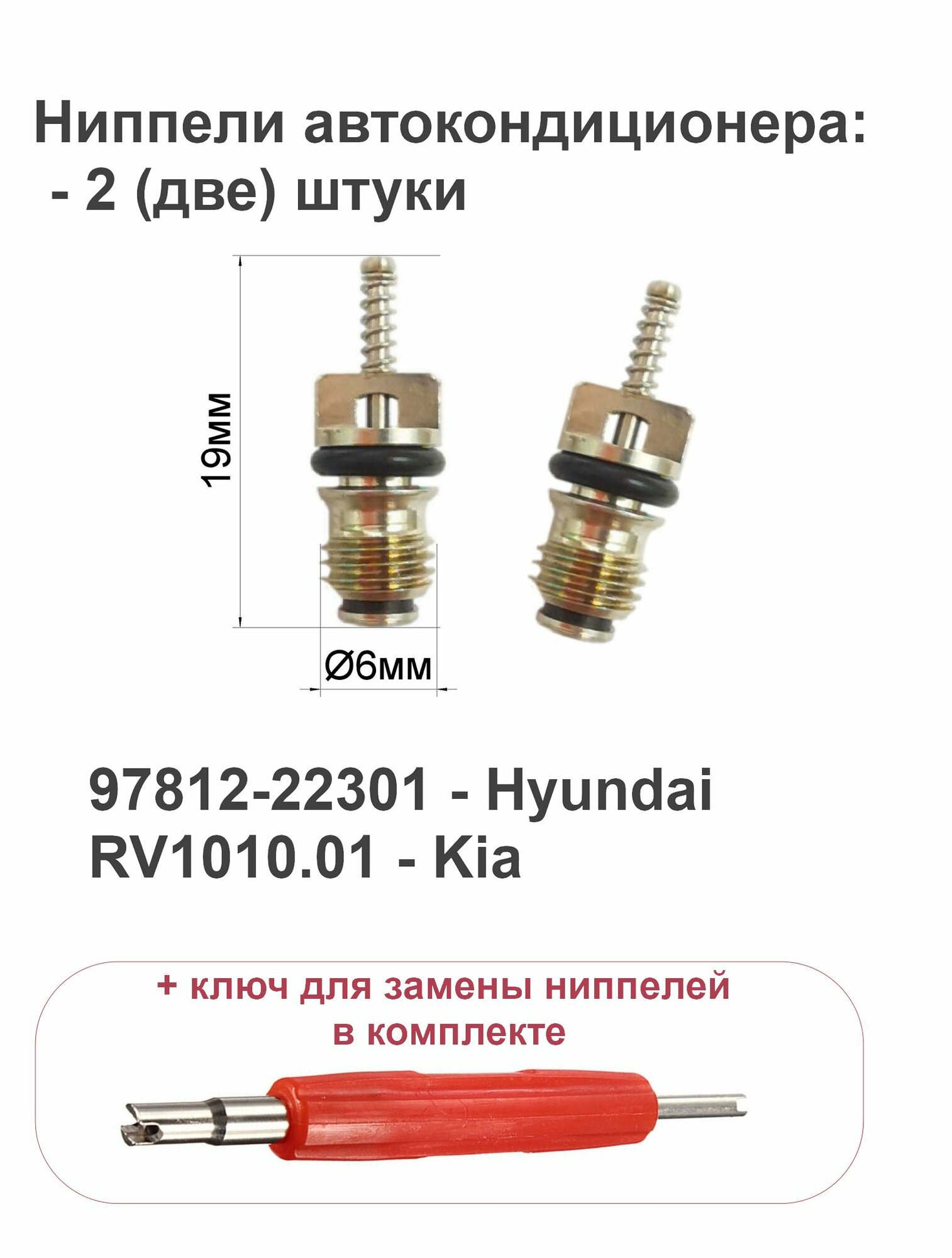 фото Ниппели (золотники) автокондиционера - 2 (две штуки): KIA, Hyundai. Артикул: RV1010.01, 97812-22301. Китай