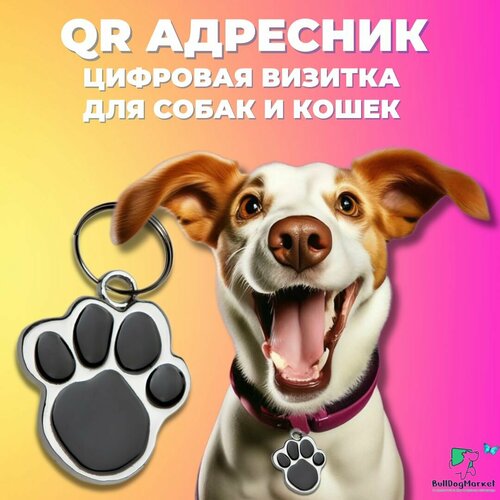 Адресник для собак и кошек с гравировкой QR кода, лапка