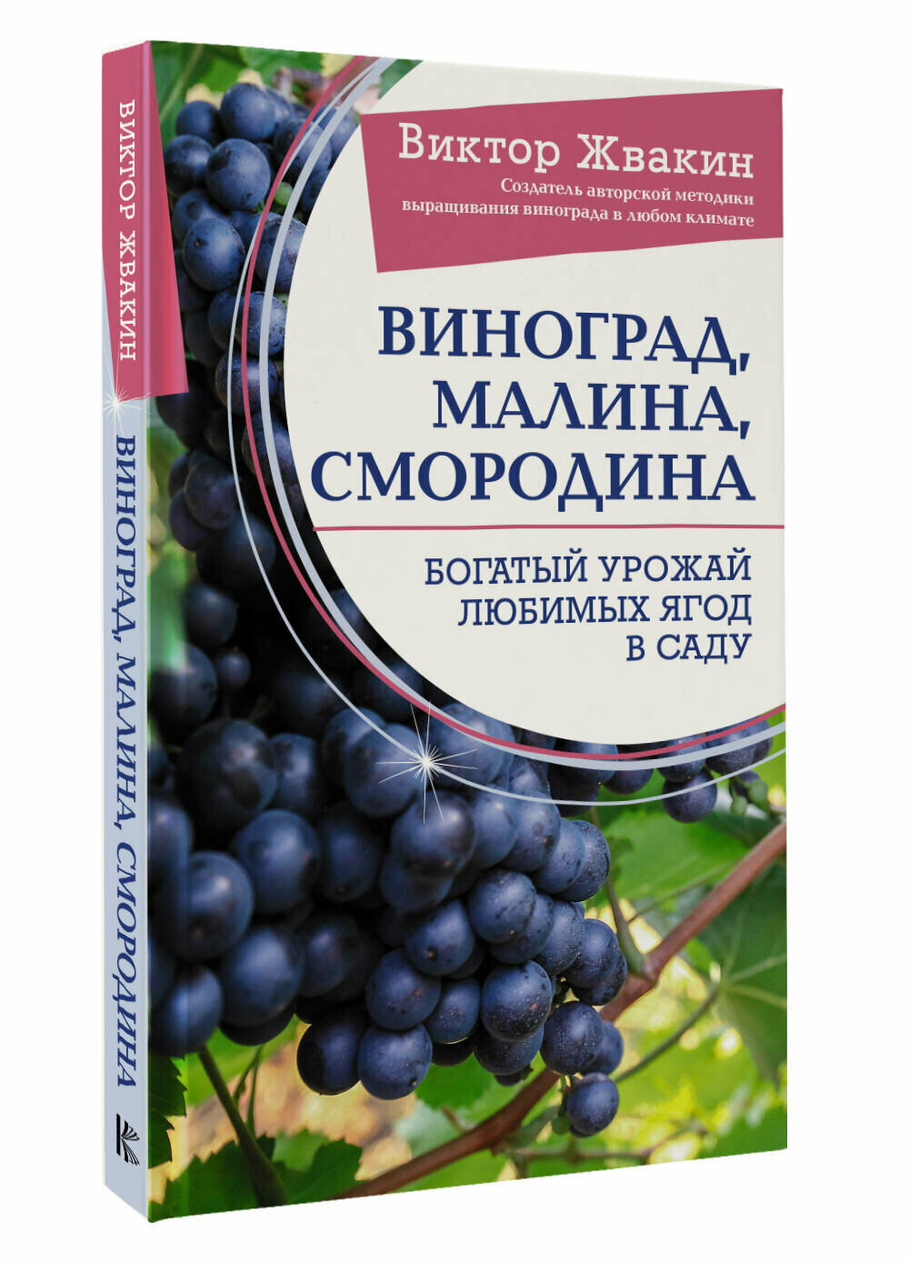 Виноград, малина, смородина. Богатый урожай любимых ягод в саду Жвакин В. В.