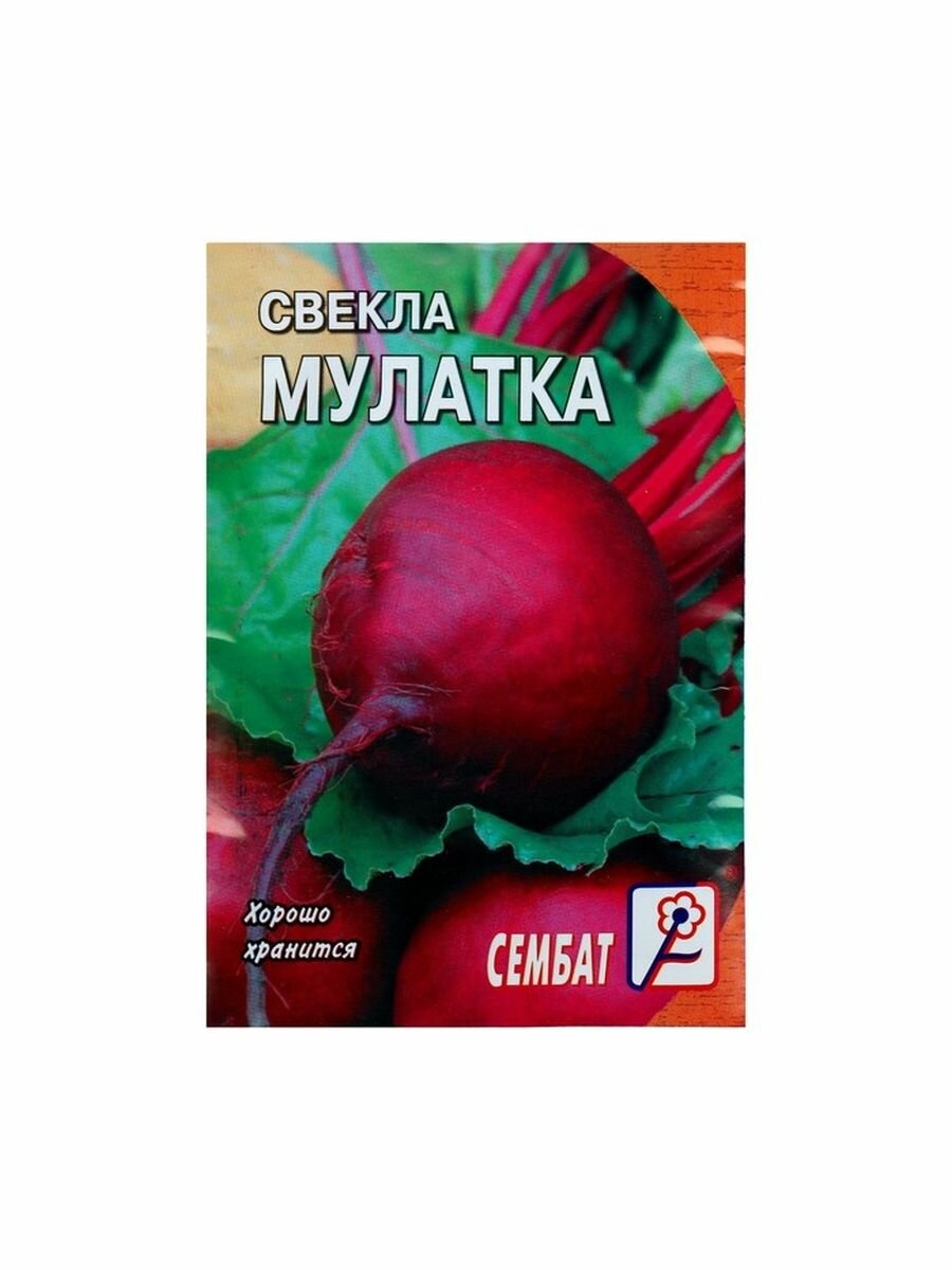 Семена Свекла 