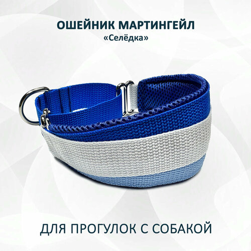 Ошейник для собак типа "Селёдка" мартингейл. "Морской бриз" XS