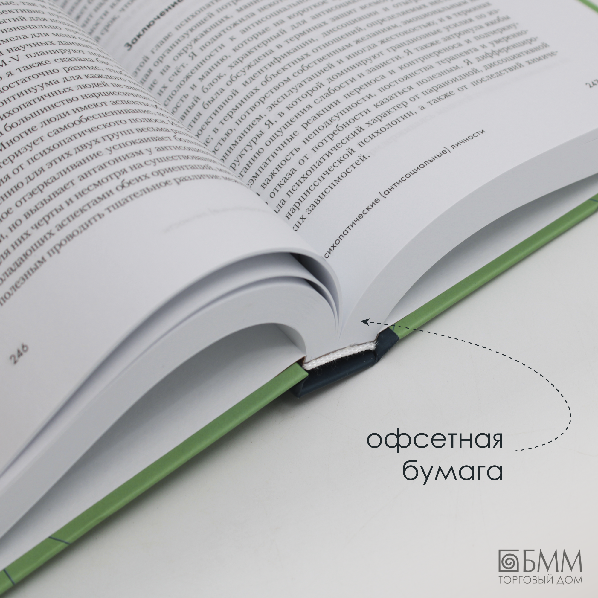 Психоаналитическая диагностика Понимание структуры личности в клиническом процессе - фото №6