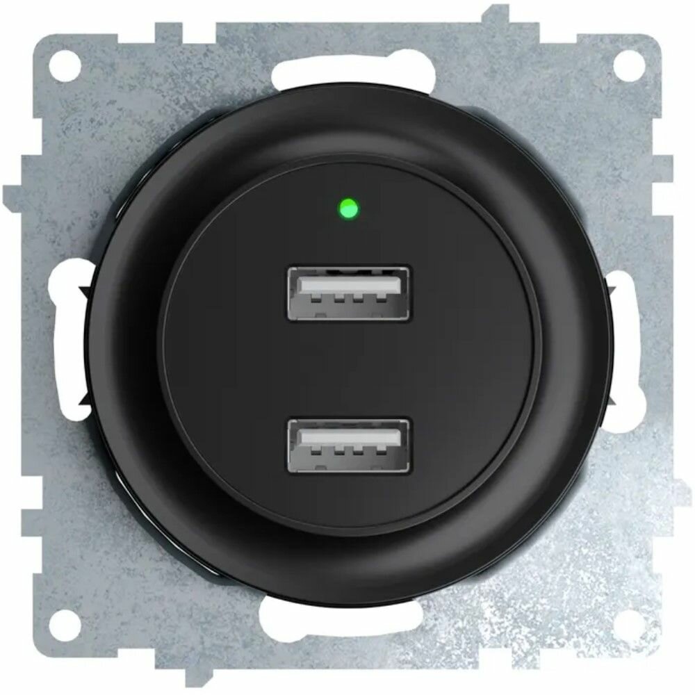 Розетка USB двойная OneKeyElectro, с подсветкой, цвет черный