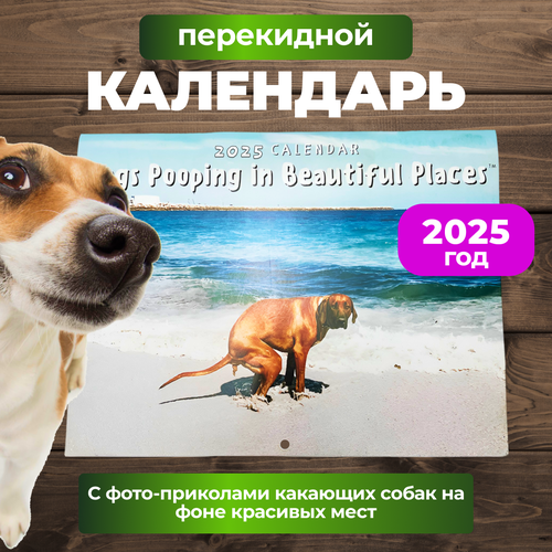 Календарь на 2025 год с фото-приколами какающих собак на фоне красивых мест 1073₽
