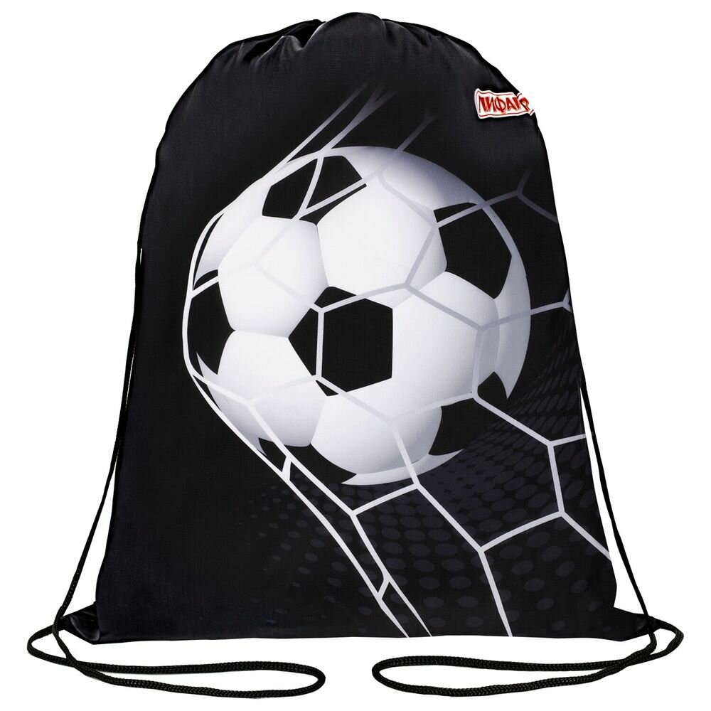 Мешок для обуви Пифагор "Ball kick", 1 отделение, 42х34 см (272386)