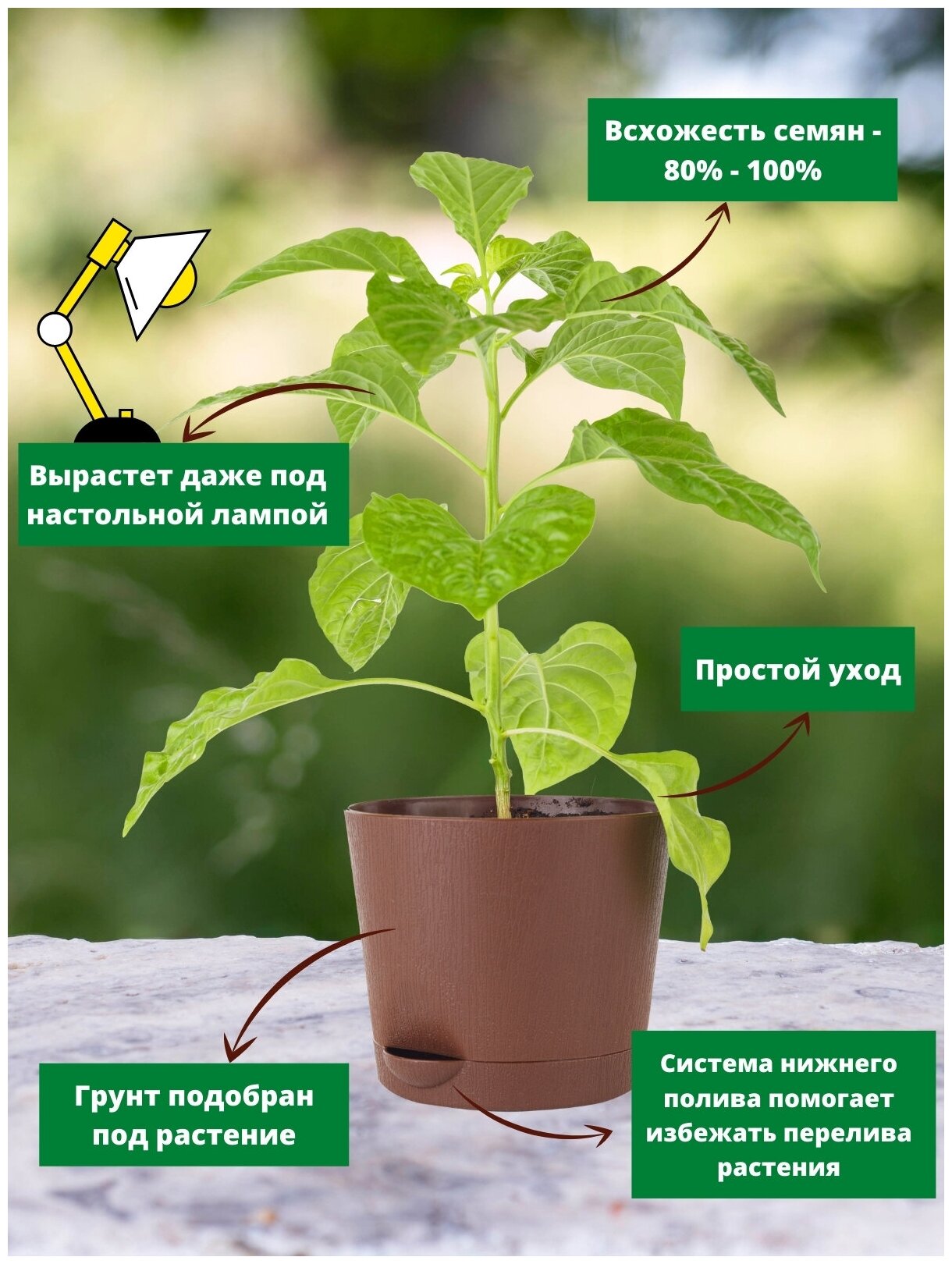 Набор для выращивания растений Перец острый Тринидад 7 Пот Джона Plant Republic