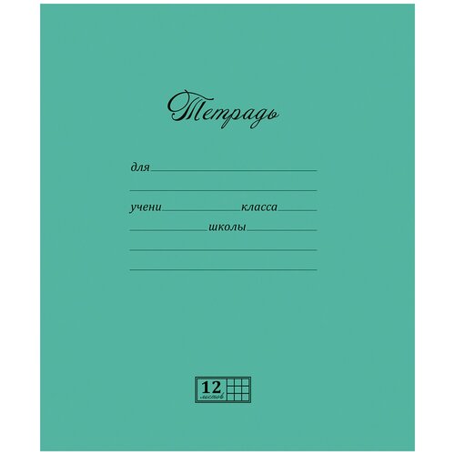 Набор тетрадей Magic Lines, цвет: зеленый, 12 листов в клетку, 20 шт