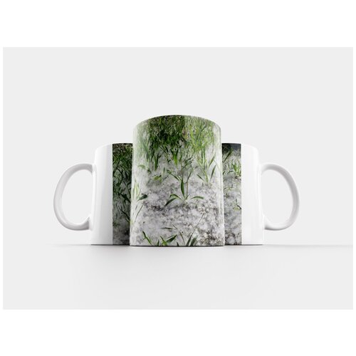 фото Кружка "populus x canadensis, семена, тополь из шерсти" 320 мл lotsprints