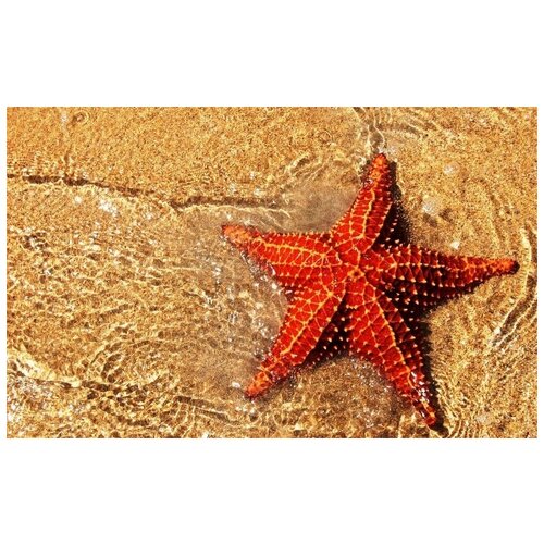 Купить Алмазная мозаика Яркие Грани Морская звезда (DS033), размер 50х32см, 43 цвета