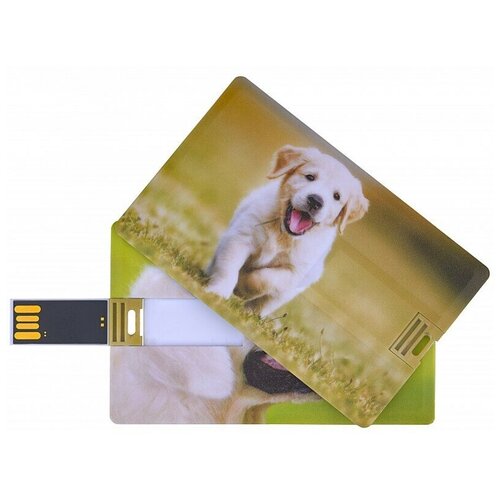 Подарочный USB-накопитель собака оригинальная флешка пластиковая карта 8GB подарочный usb накопитель бухгалтеру пластиковая карта 64gb