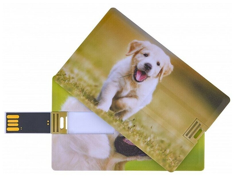 Подарочный USB-накопитель собака оригинальная флешка пластиковая карта 4GB