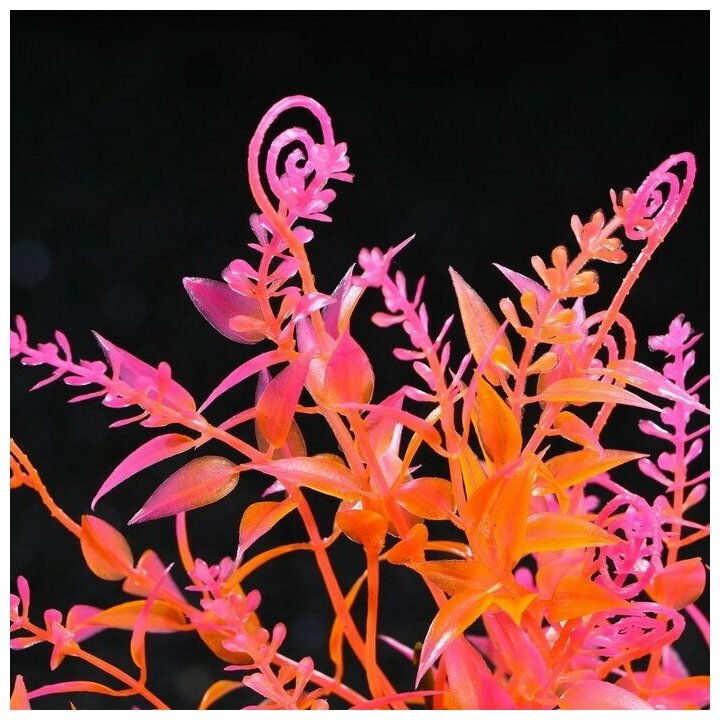 Растение искусственное аквариумное, 6 х 24 см, оранжевое, 1 шт. - фотография № 2