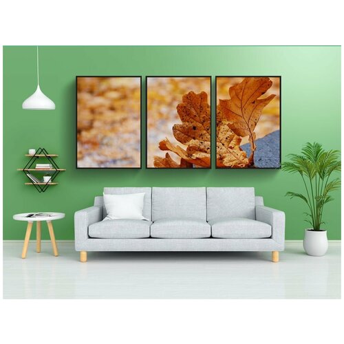 фото Набор модулных постеров для интерьера "осенние листья, дубовый лист, окраска листвы" 60x90 см. в тубусе, без рамки lotsprints