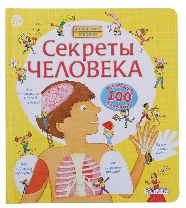 Волшебные створки «Секреты человека»