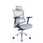 Эргономичное сетчатое кресло FALTO Expert Sail ART - изображение