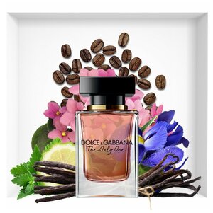 Dolce Gabbana The Only One 100