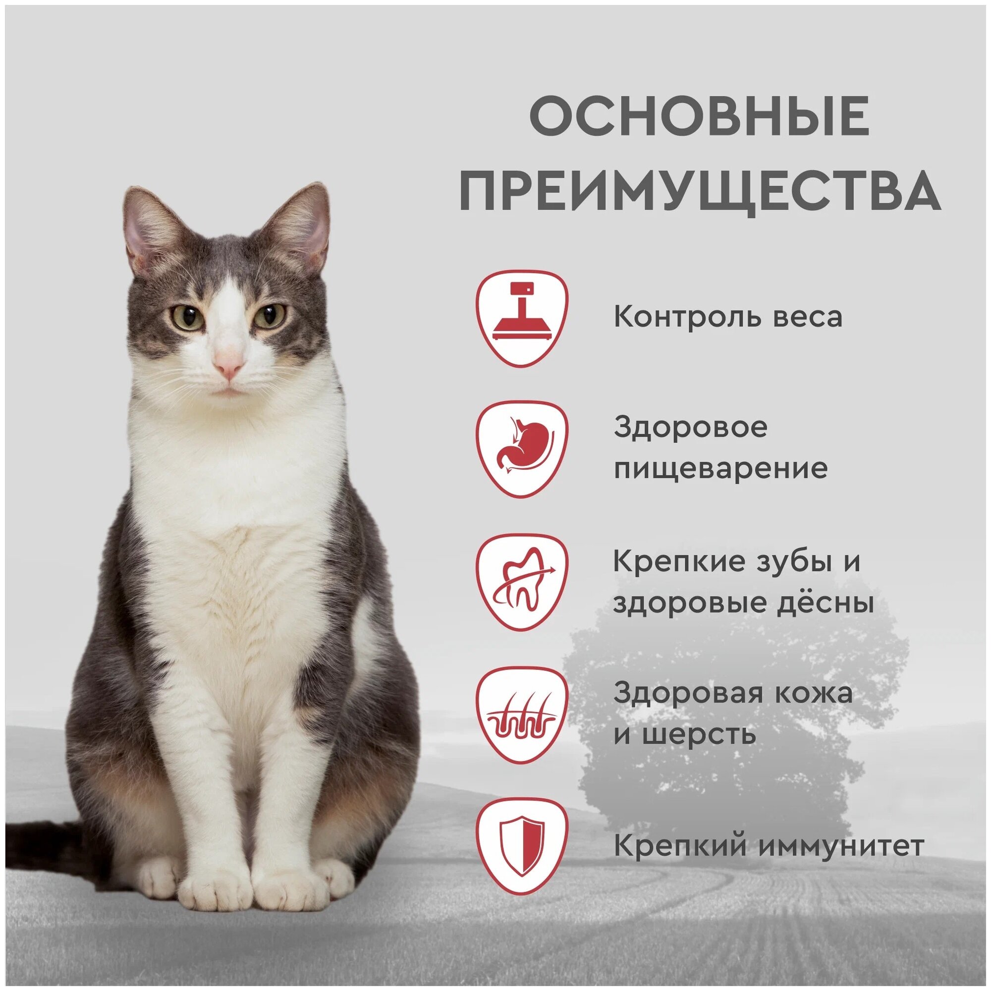 Корм Секрет Премиум для стерилизованных кошек и кастрированных котов курица и рис, 2 кг - фотография № 15