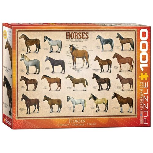 Пазл Eurographics 1000 деталей: Лошади пазл enjoy 1000 деталей лошади бегущие по пустыне