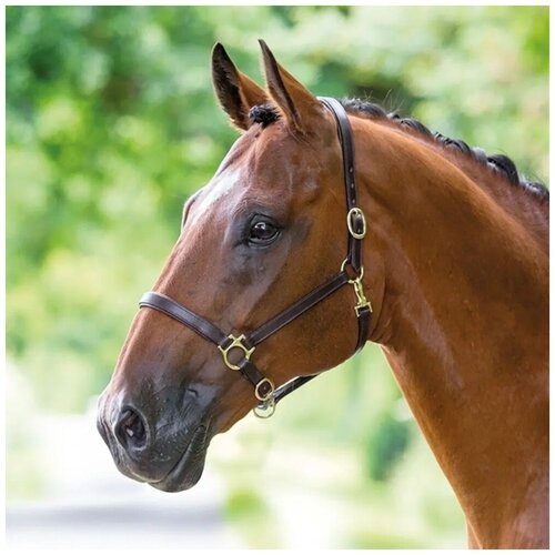 Недоуздок для лошади кожаный SHIRES BRIDLEWAY, FULL, коричневый (Великобритания) недоуздок для лошади регулируемый shires full синий великобритания