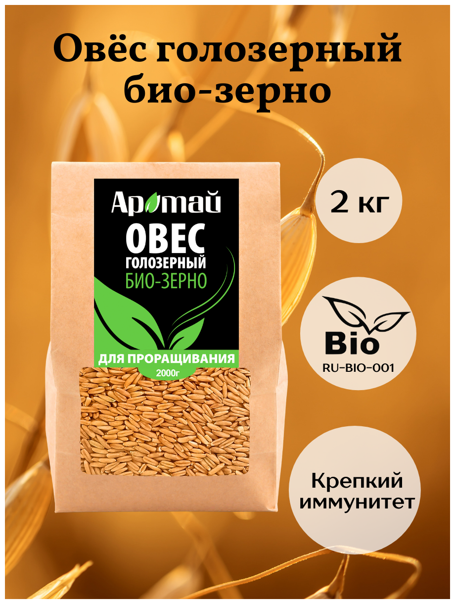 Овес голозерный зерно для проращивания микрозелень низкокалорийные постные продукты питания аратай 2 кг